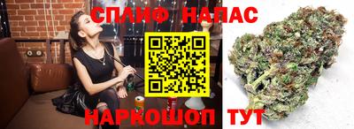 PSILOCYBIN Волжск